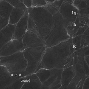 日本女优上非洲找黑鬼操逼
