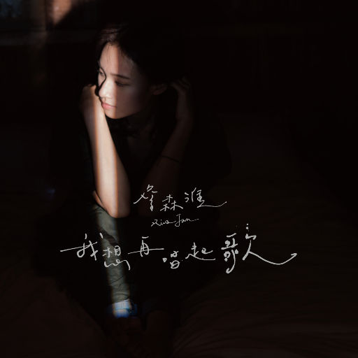 日本女优上非洲找黑鬼操逼
